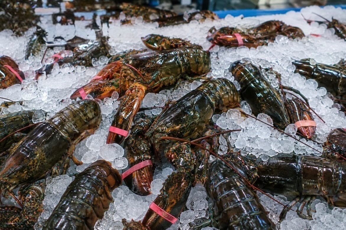 Frozen Lobster
