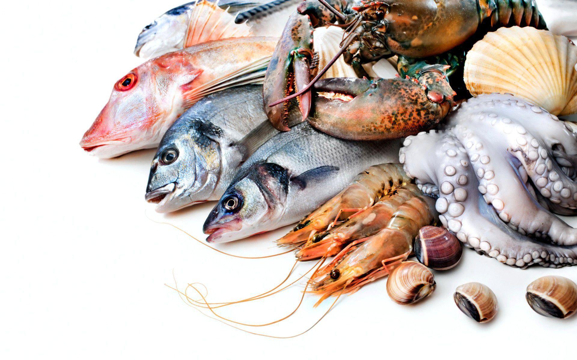 Seafood